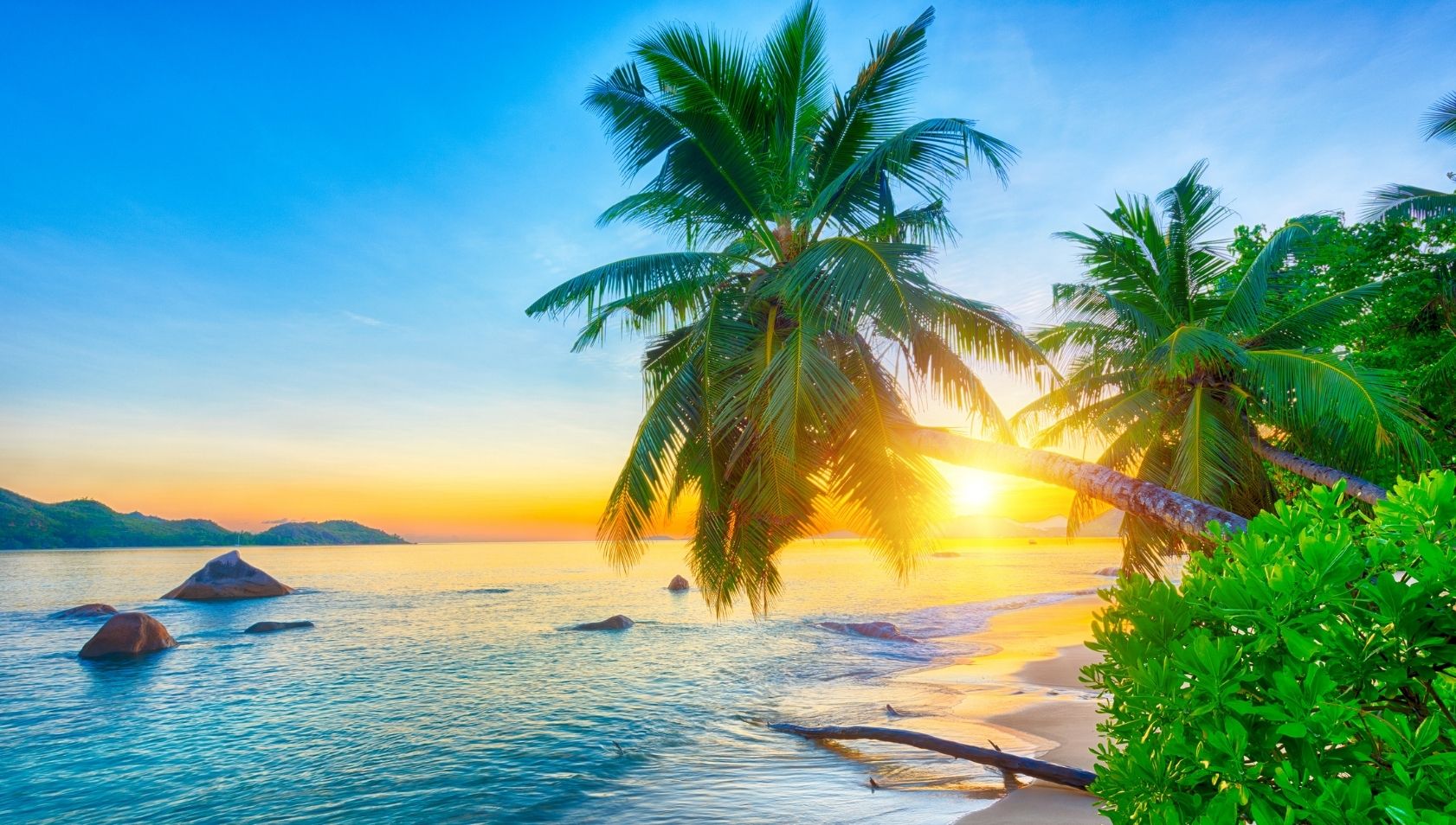 založenie firmy na seycheloch
